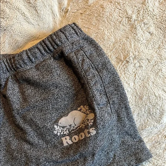 Gray Roots Logo Shorts - Picture 2 of 4